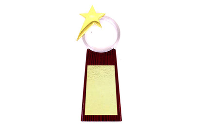 Shining Star Trophy